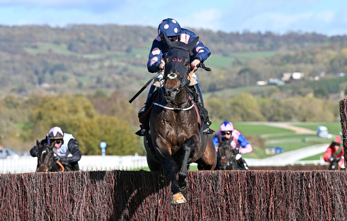 Alnilam (Sean Bowen) wins the Holland Cooper ???Chasing Excellence??? Novices??? Chase at Cheltenham Racecourse 24.10.25 Healy Racing