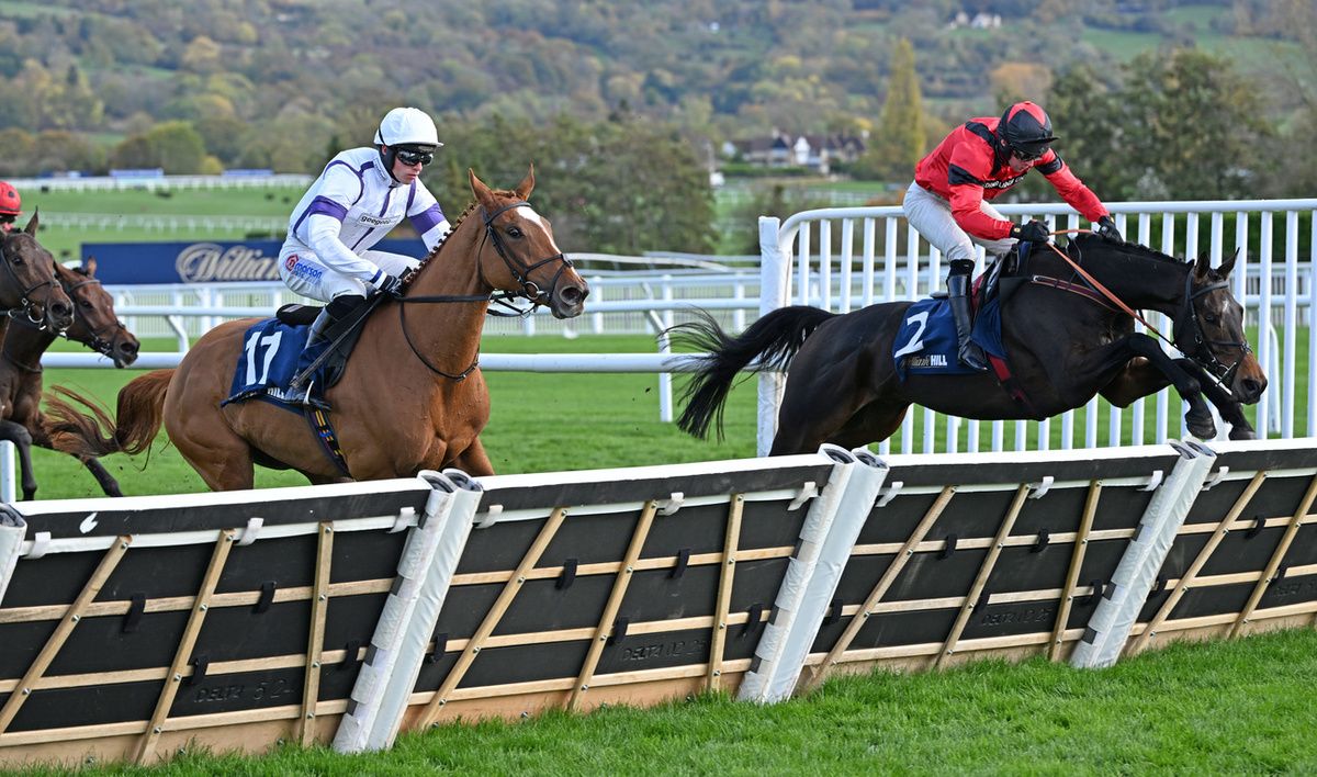 Conman John (Derek Fox) wins the Play William Hill's Final One Stadning Novices' Hurdle at Cheltenham Racecourse 25.10.25 Healy Racing