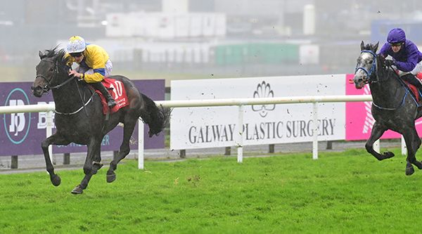 Never Loose goes clear under Joey Sheridan 