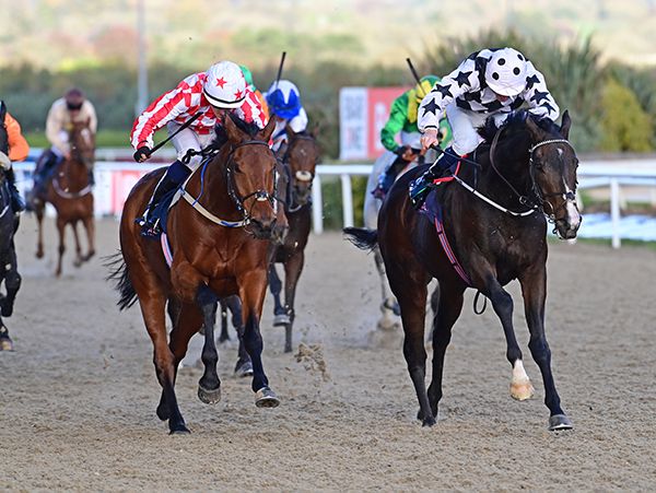Fleetfootsoldier and Ben Coen (right) beat Rock Basher 