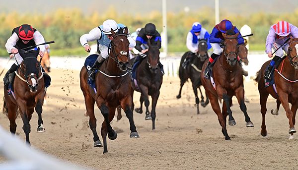 Iron Lily and Shane Foley (pale colours)