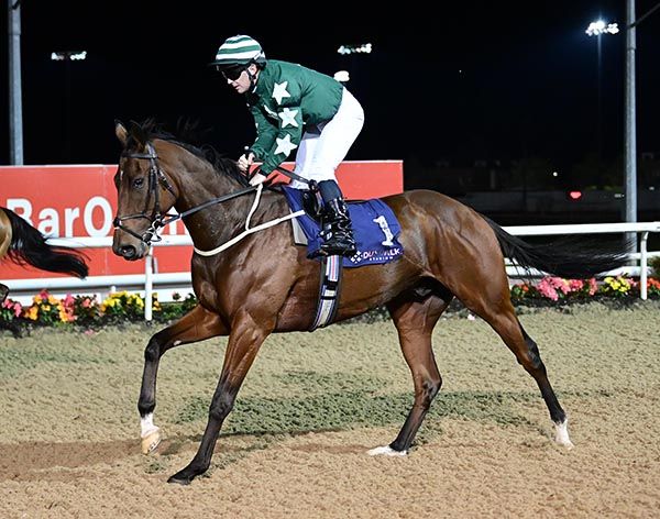 Diego El Queso and Gary Carroll 