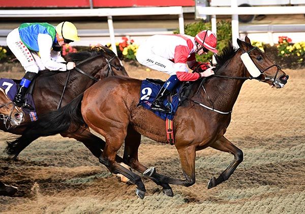 Lady Lunette and Ben Coen 