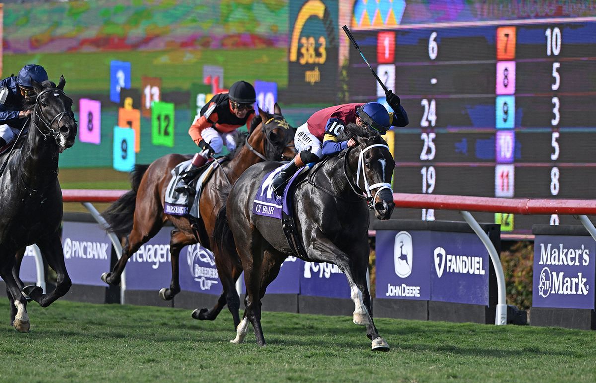 Cy Fair and Irad Ortiz win for trainer George Weaver 