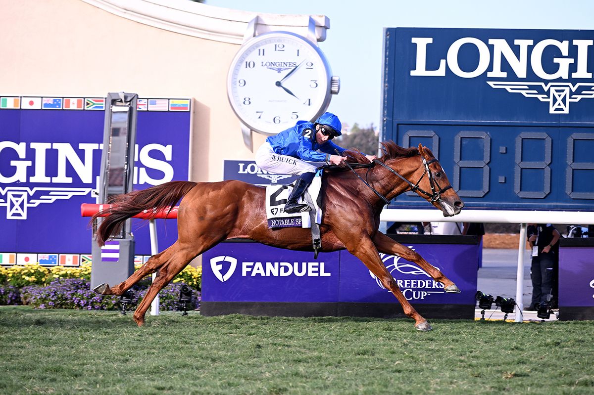 Notable Speech and William Buick