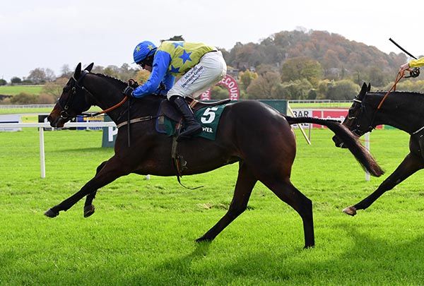 King In Love and Sean O'Keeffe