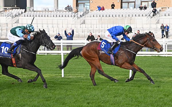 Key Witness holds Miss Nifty