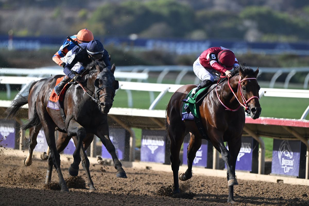 Forever Young and Ryusei Sakai winning at Del Mar in November