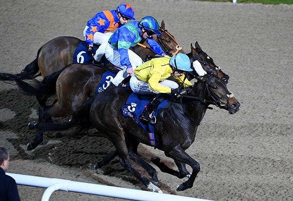 Lunigiana and Billy Lee