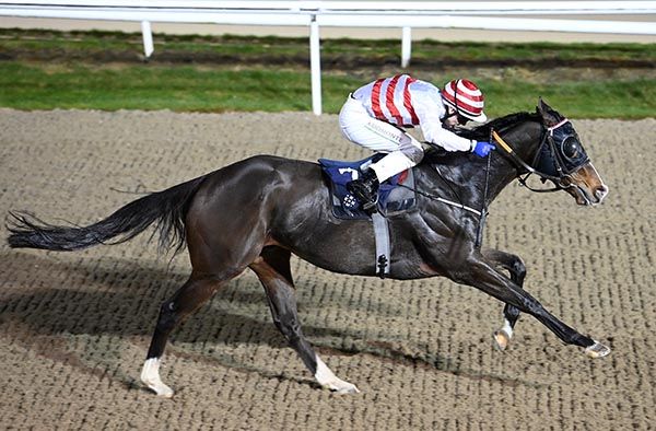 Johnny's Oasis and Colin Keane