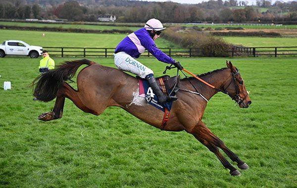 Fruit De Mer and Darragh O'Keeffe