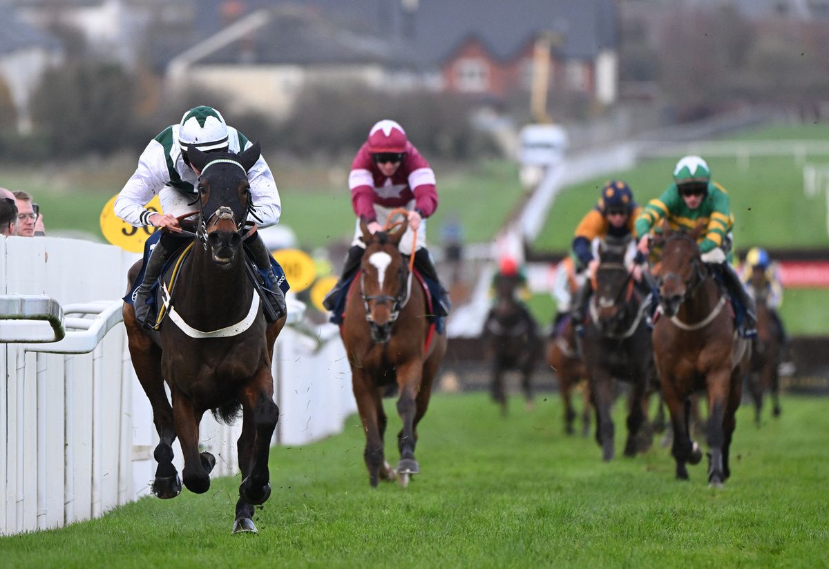 Irish Panther and Kieran Buckley winning at Naas