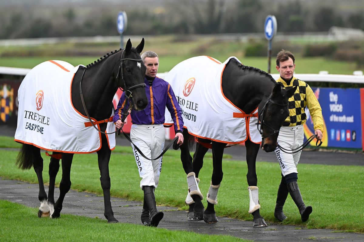 Jockeys Mark Walsh and Paul Townend with retired racehorses Easy Game and Al Boum 