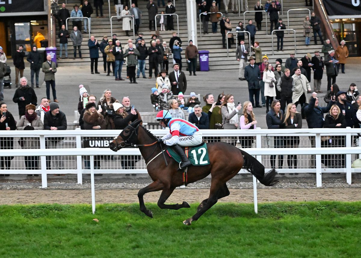 November 2025 Saint Clovis win for trainer Tom Cooper Healy Racing