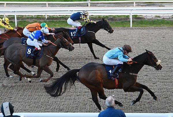 Notforalongtime and Wayne Hassett