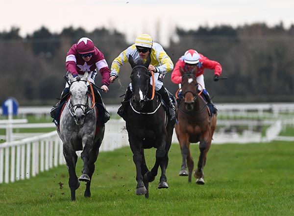 The grey Unflinching rallies well to win for Harry Swan 