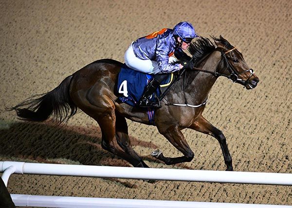 Final Melody and Seamie Heffernan come home clear