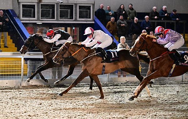 Evening Blues (far side) holds on