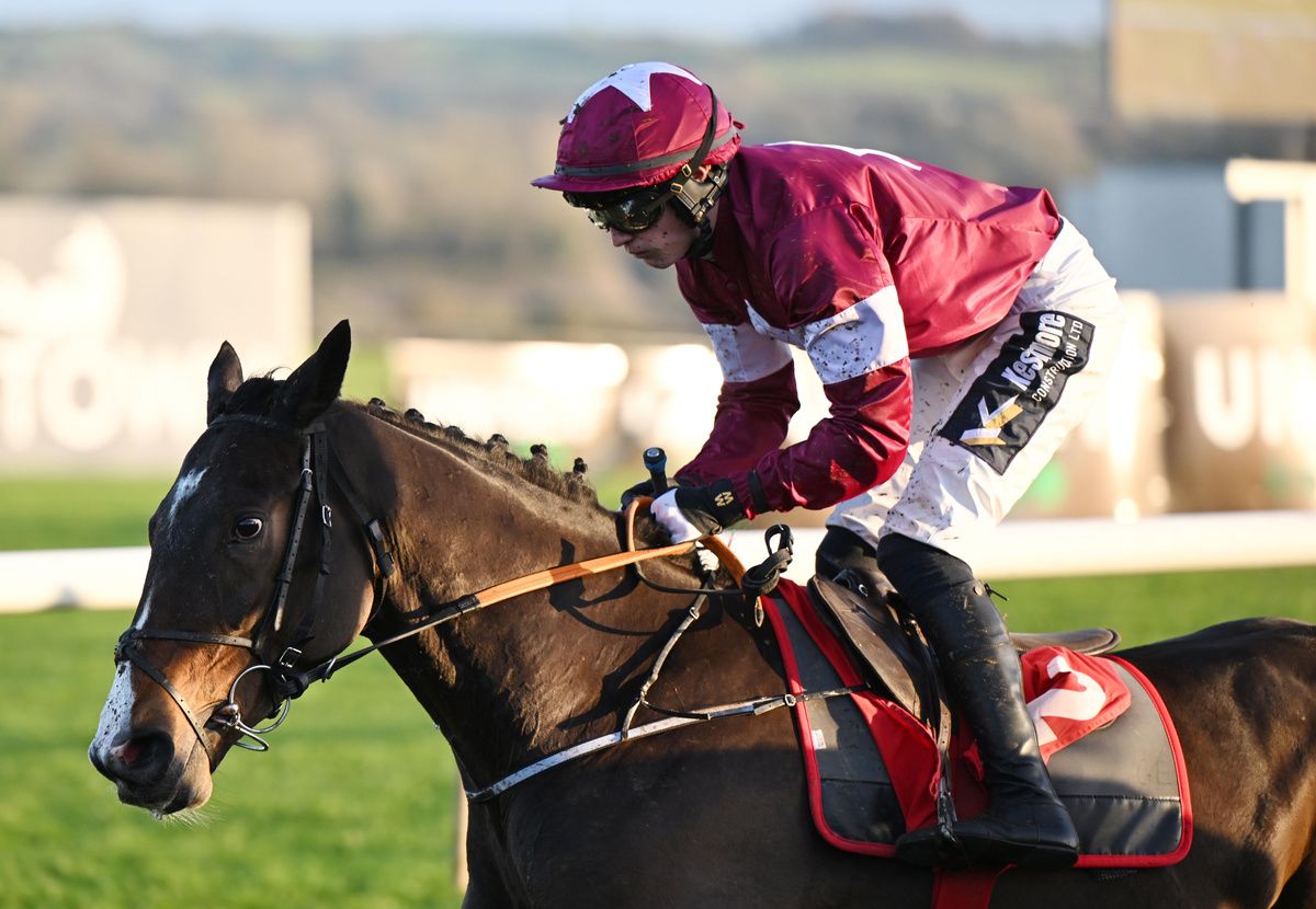 Punchestown 22 November 2025 Ballyfad and Josh Halford win for trainer Gordon Elliott