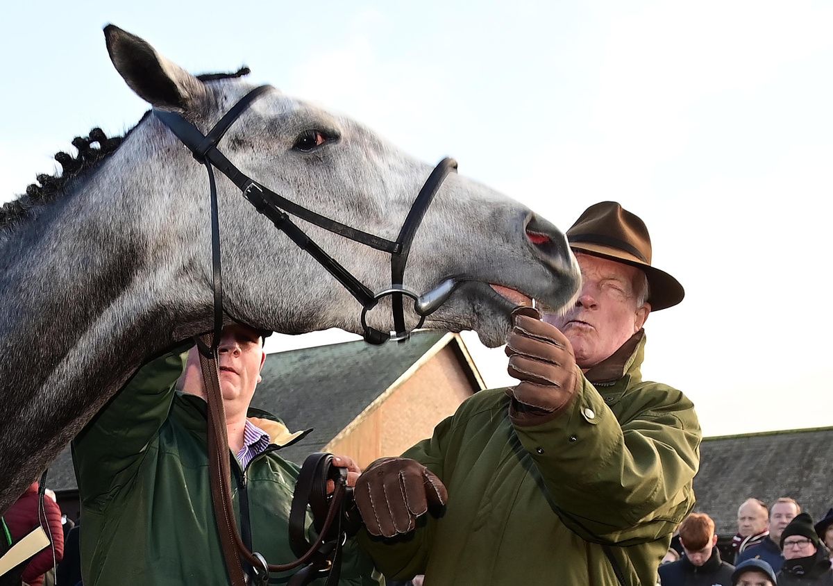 Punchestown 22-November-2025 The Unibet Morgiana Hurdle (Grade 1)Lossiemouth and trainer Willie Mullins clash heads in the winners enclosure.Healy Racing
