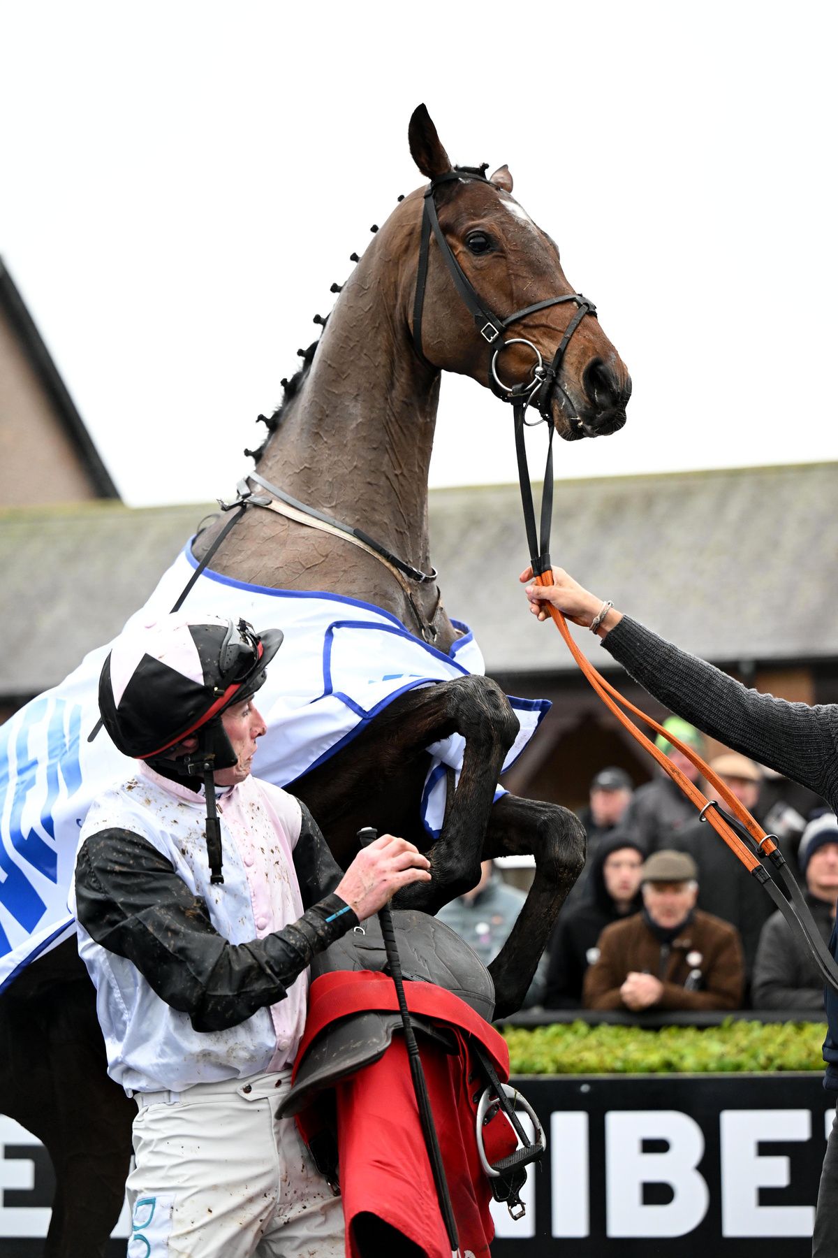 Punchestown 22-November-2025Santo Sospir shows his well being in the winners enclosure alongside jockey Jack Kennedy.Healy Racing