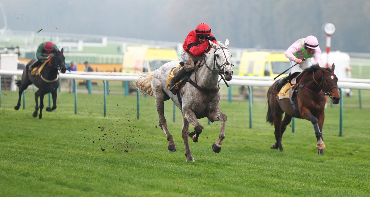 Grey Dawning, red and black silks