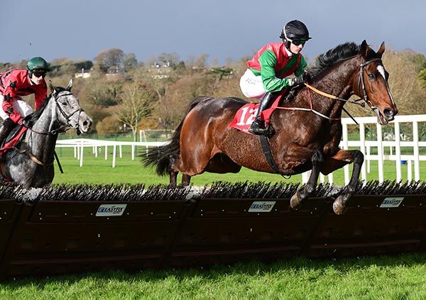 Halsafari and Harry Sexton