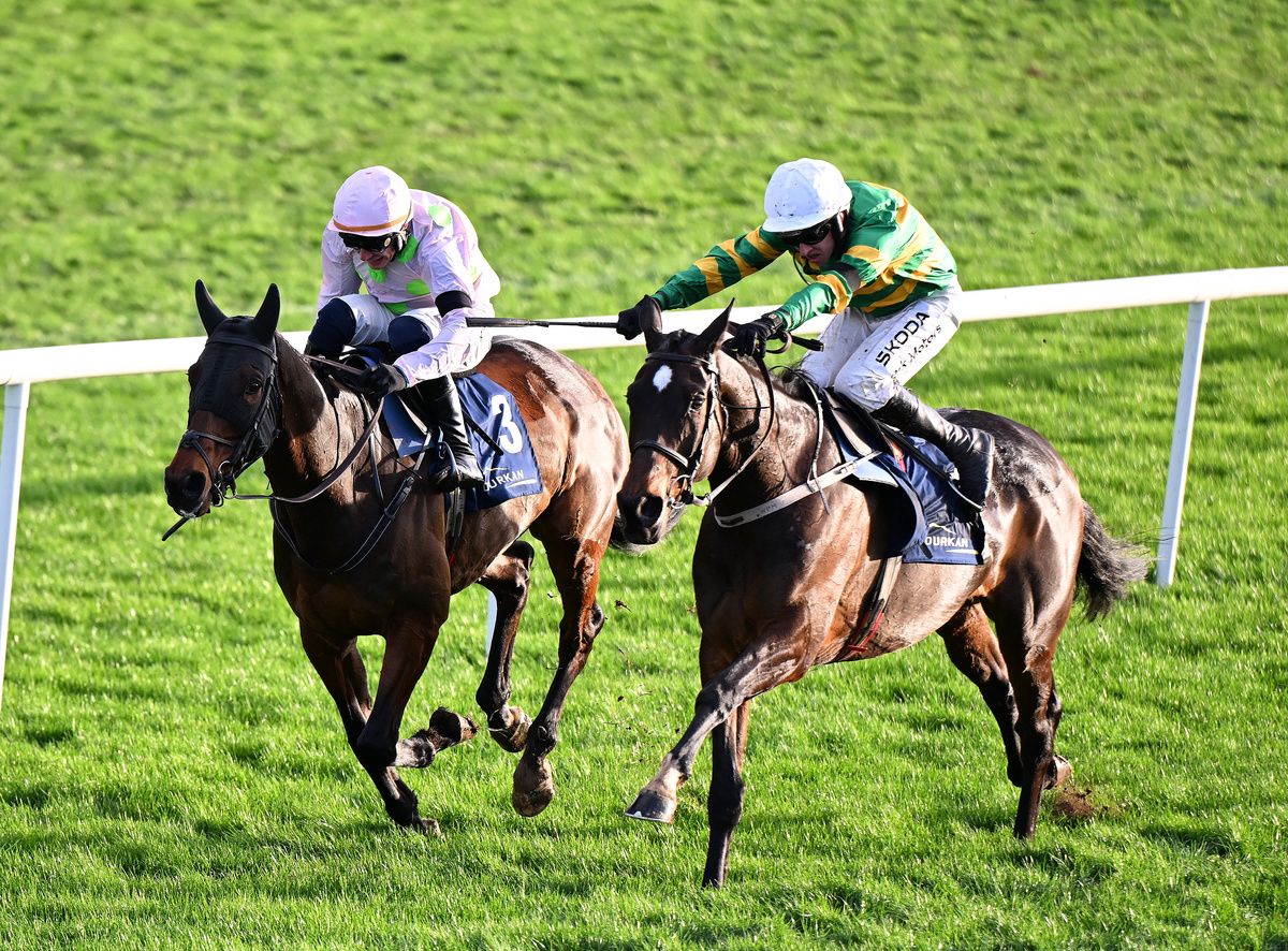 Punchestown 23-November-2025 John Durkan Memorial Punchestown Chase (Grade 1)Gaelic Warrior and Paul Townend beats Fact To File and Mark Walsh (right) for owners Rich & Susannah Ricci and trainer Willie Mullins with Fastorslow in third beaten 29 lenghts. Healy Racing