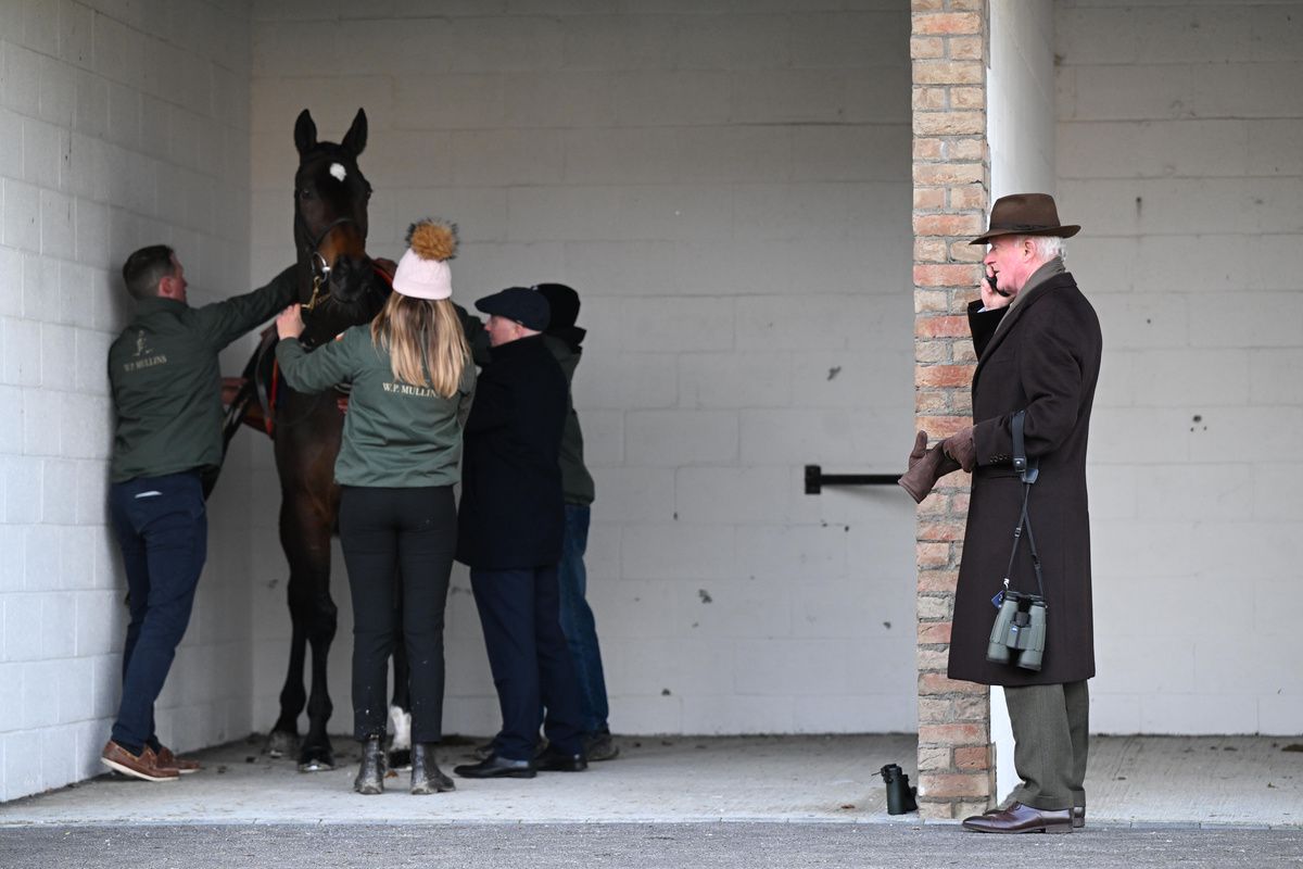 Punchestown 23 November 2025 John Durkan Memorial Punchestown Chase Grade 1 Trainer Willie Mullins watching on as Fact To File is saddled Healy Racing