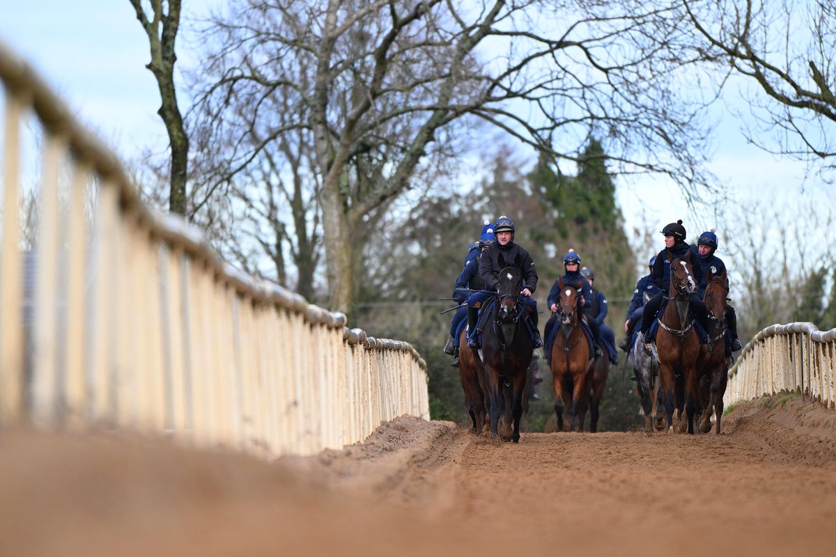 Gerri Colombe and Shane McCann lead the pack on the gallops 
