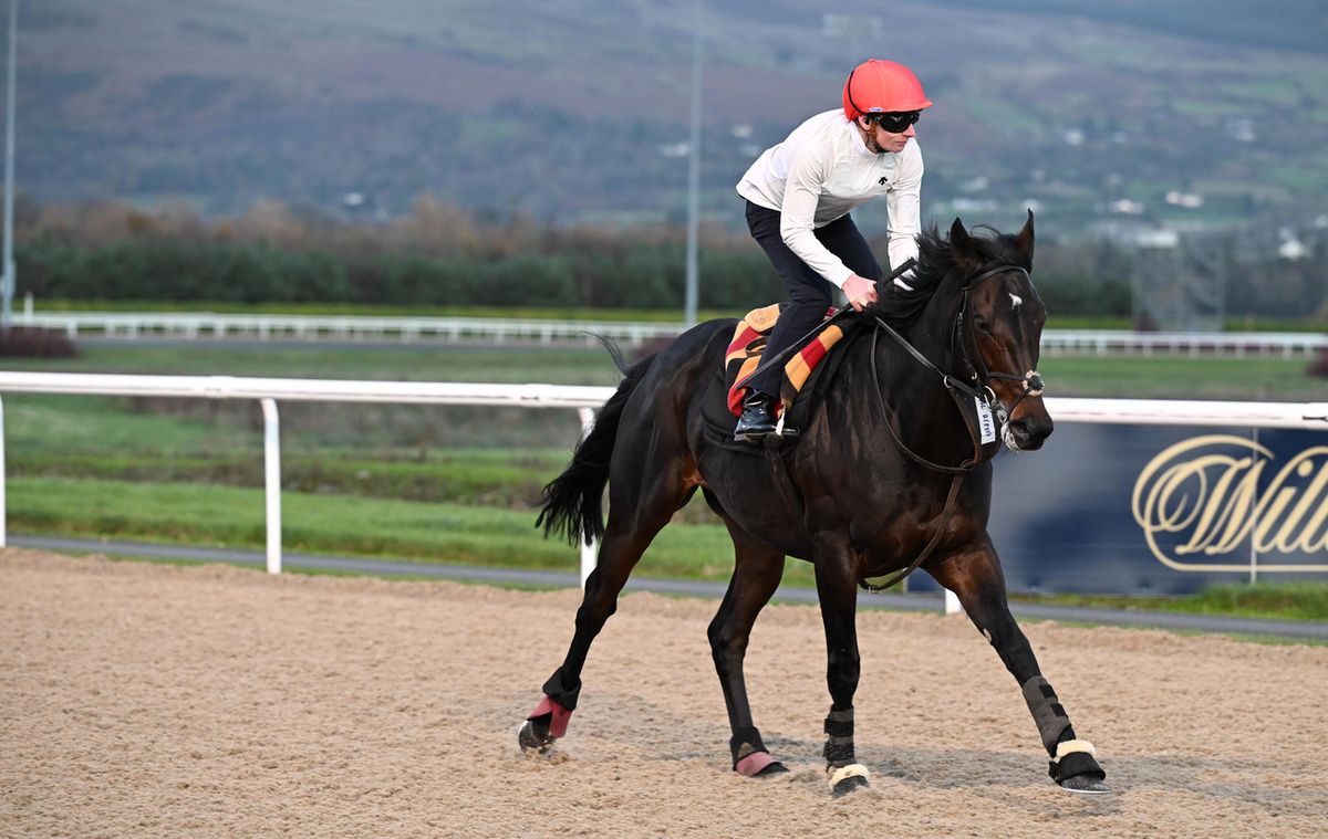 Al RIffa exercising at Dundalk last week
