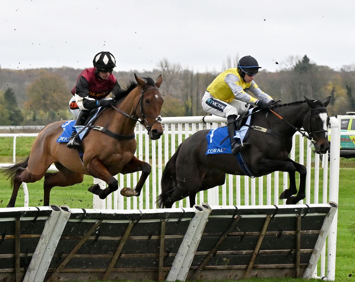 La Conquiere and Gavin Sheehan (yellow)