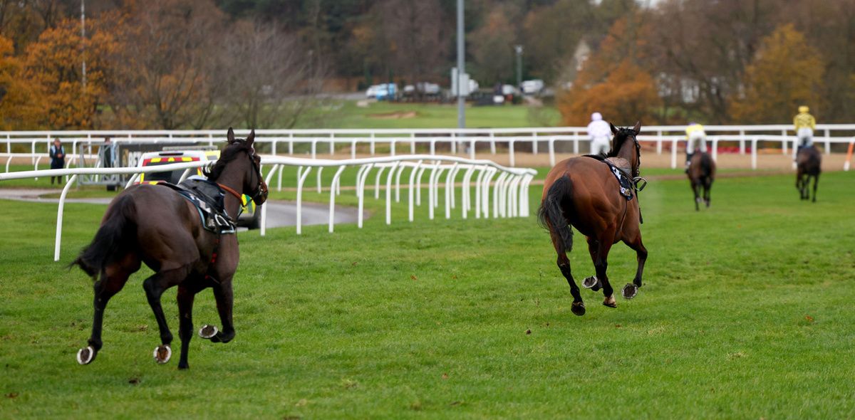 Newcastle 29-November-2025Constitution Hill and The New Lion gallop loose after both had fallen.Healy Racing