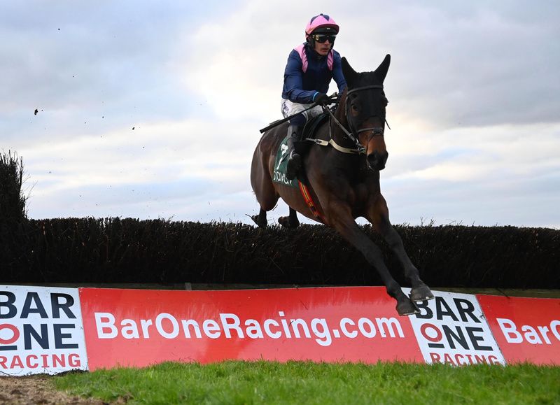 Kopek Des Bordes is expected to get the job done at Punchestown 