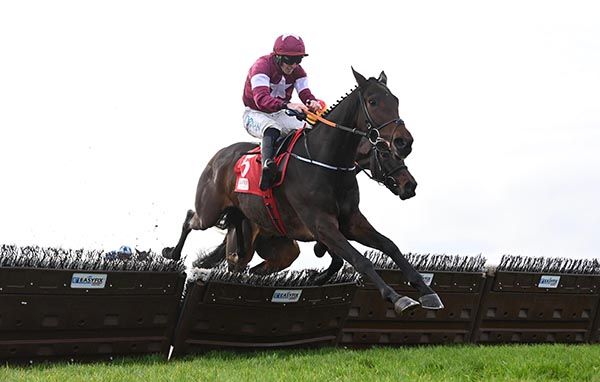 Koktail Brut and Jack Kennedy in winning form