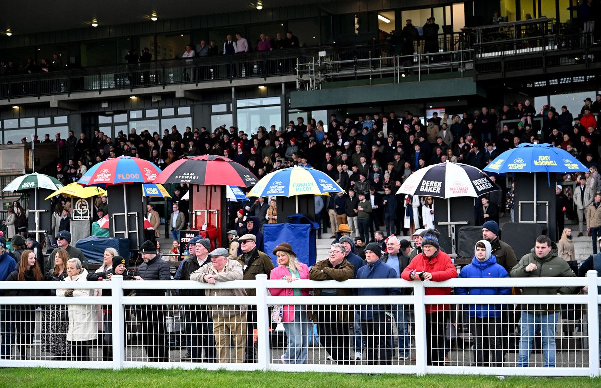 Fairyhouse racecourse