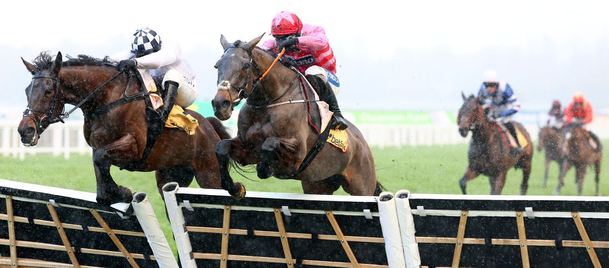 Go Dante will bid to make history with third Imperial Cup win 