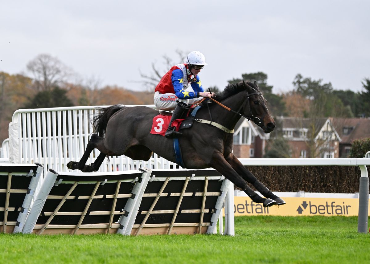 Hurricane Pat and Caoilin Quinn 