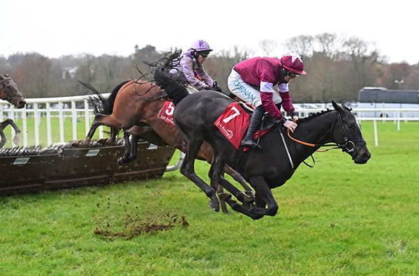 7-12-25 Cork.Manoir De Mirande and Jack Kennedy fall at the last in the BAR 1 Betting 3-Y-O Maiden Hurdle. Both horse and jockey were okay.Healy Racing Photo.