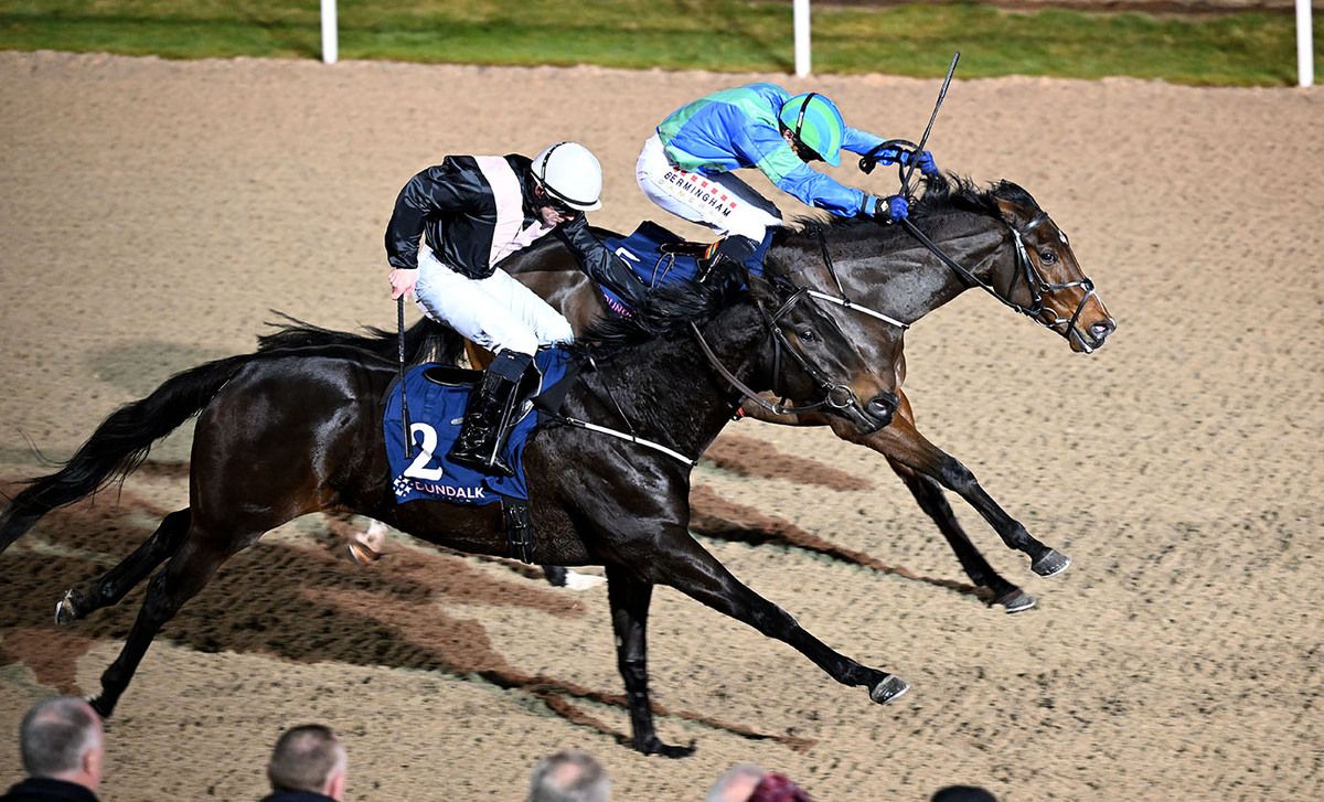 Gonna Be Golden (far side) and Chris Hayes