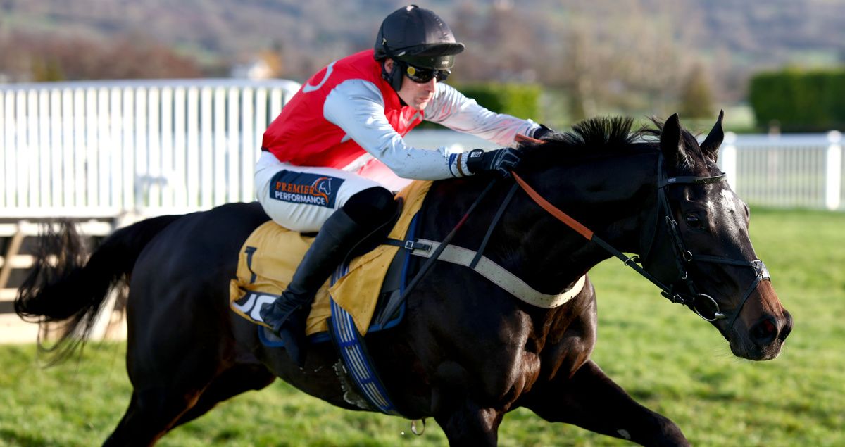 Minella Study and Ryan Mania in full cry