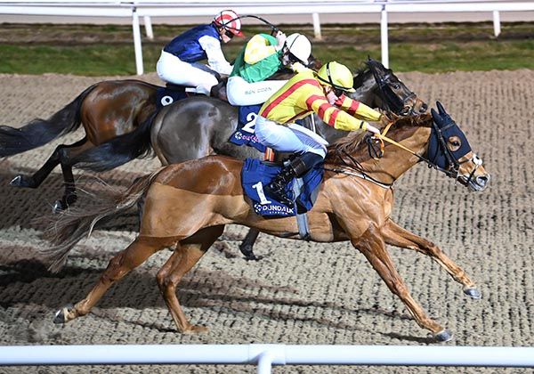 Coincidental Glory and Sam Coen