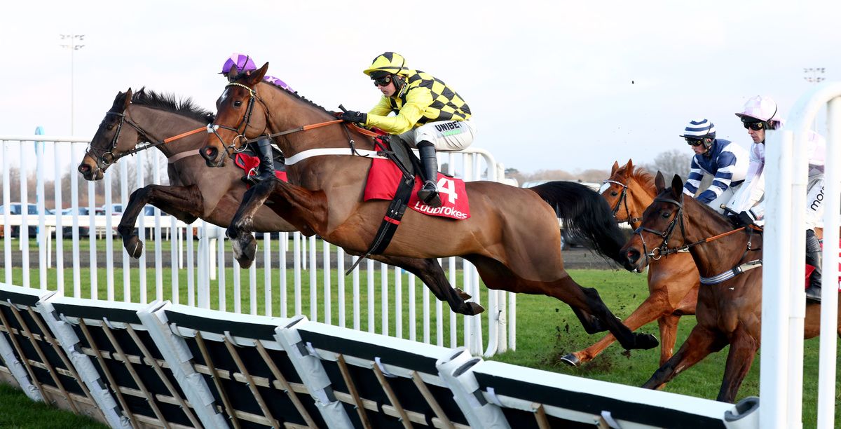 Sir Gino and Nico de Boinville