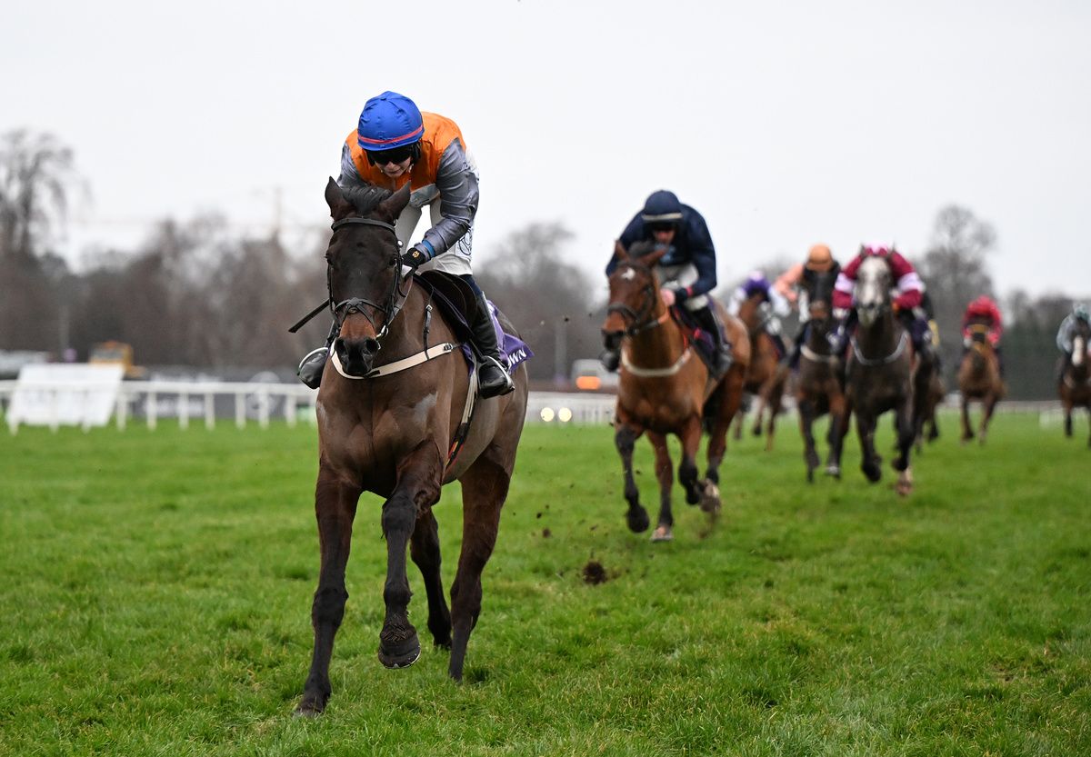 Leopardstown 28 December 2025 Bentraghhill and Jody Townend win for trainer Willie Mullins 