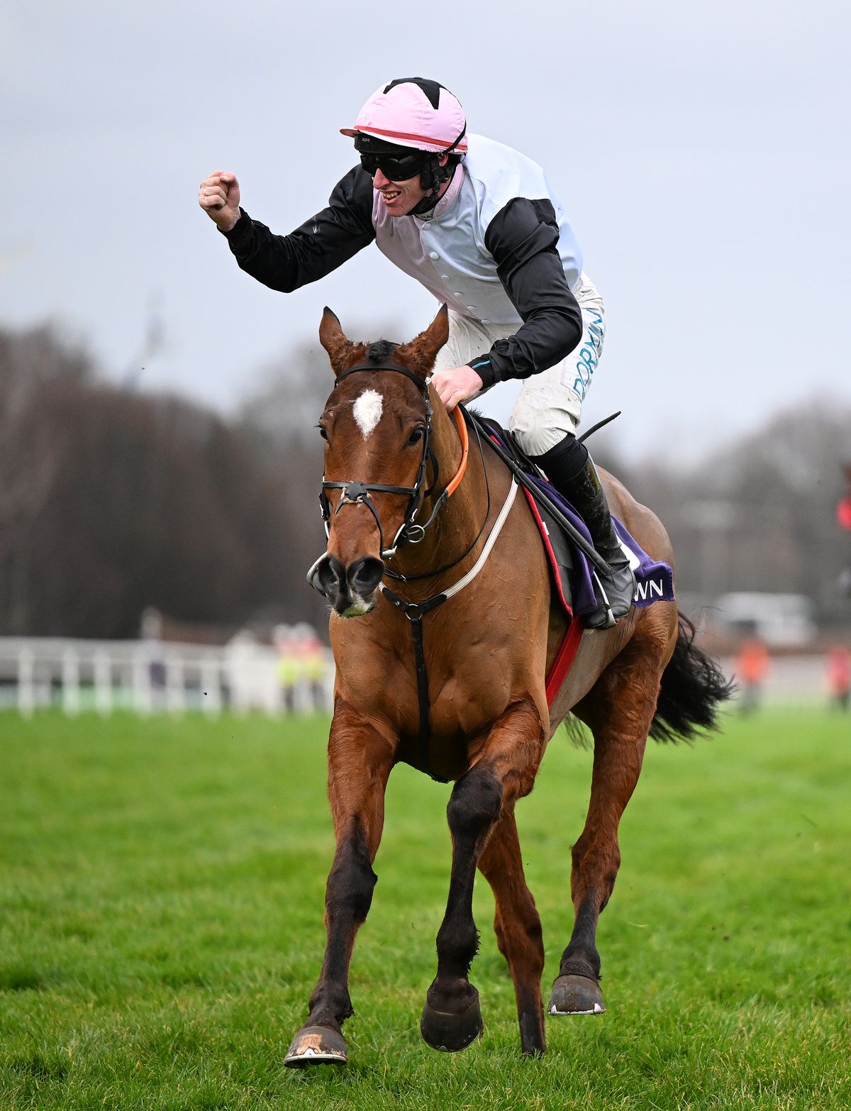 Leopardstown 28-December-2025Teahupoo and Jack Kennedy win for owner Robcour and trainer Gordon Elliott with groom Erika Peculyte.Healy Racing