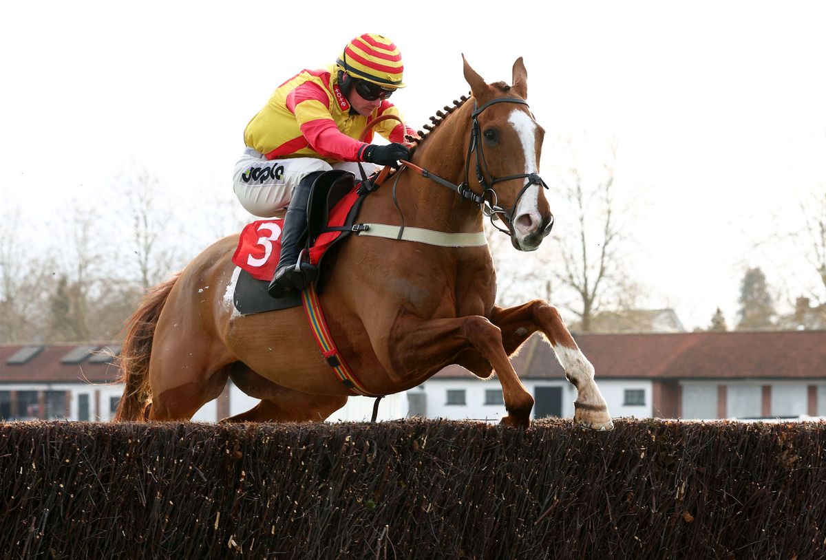 Lookaway and Jack Quinlan