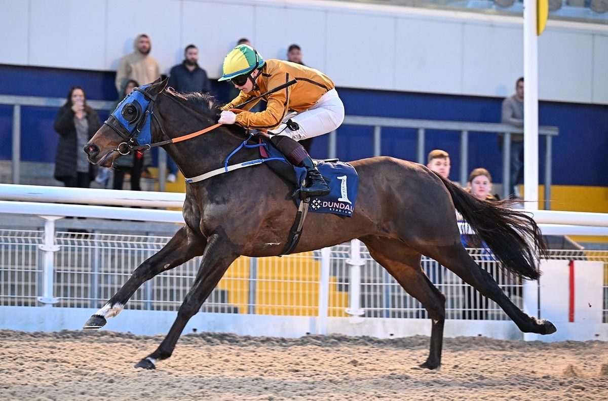 Dontspoilasale and Reese Holohan