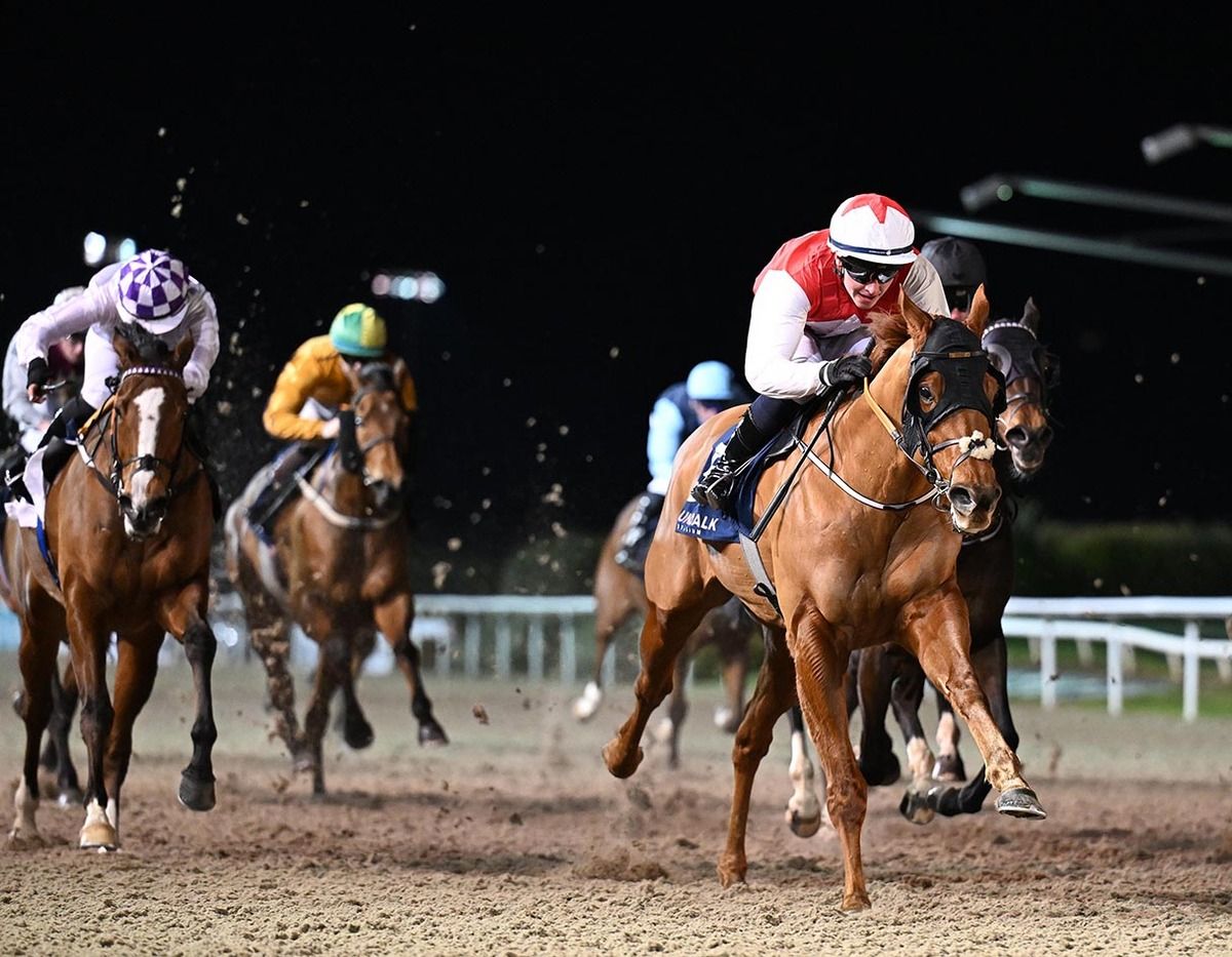 Ocean Manifest and Jack Kearney