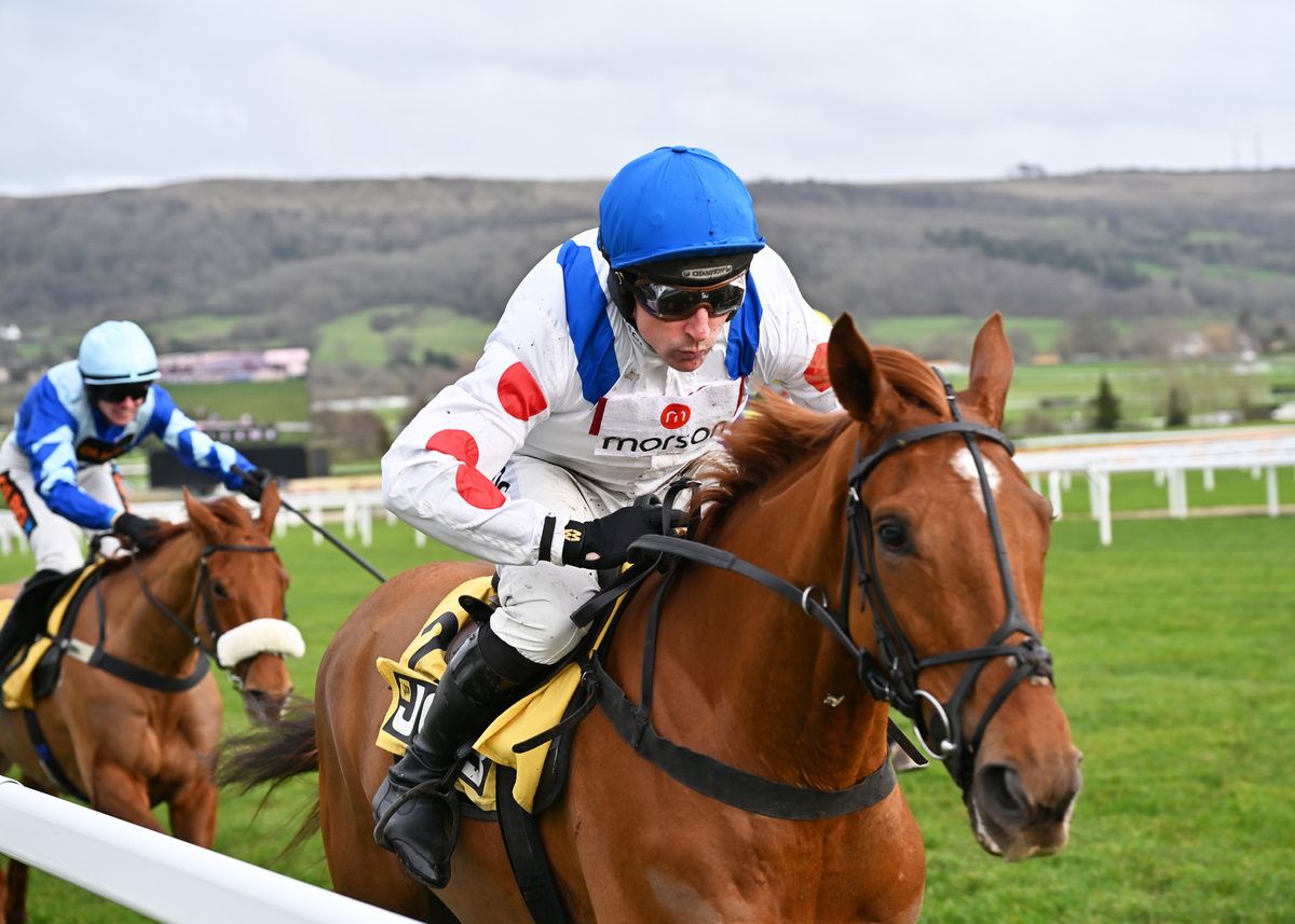 Maestro Conti and Harry Skelton