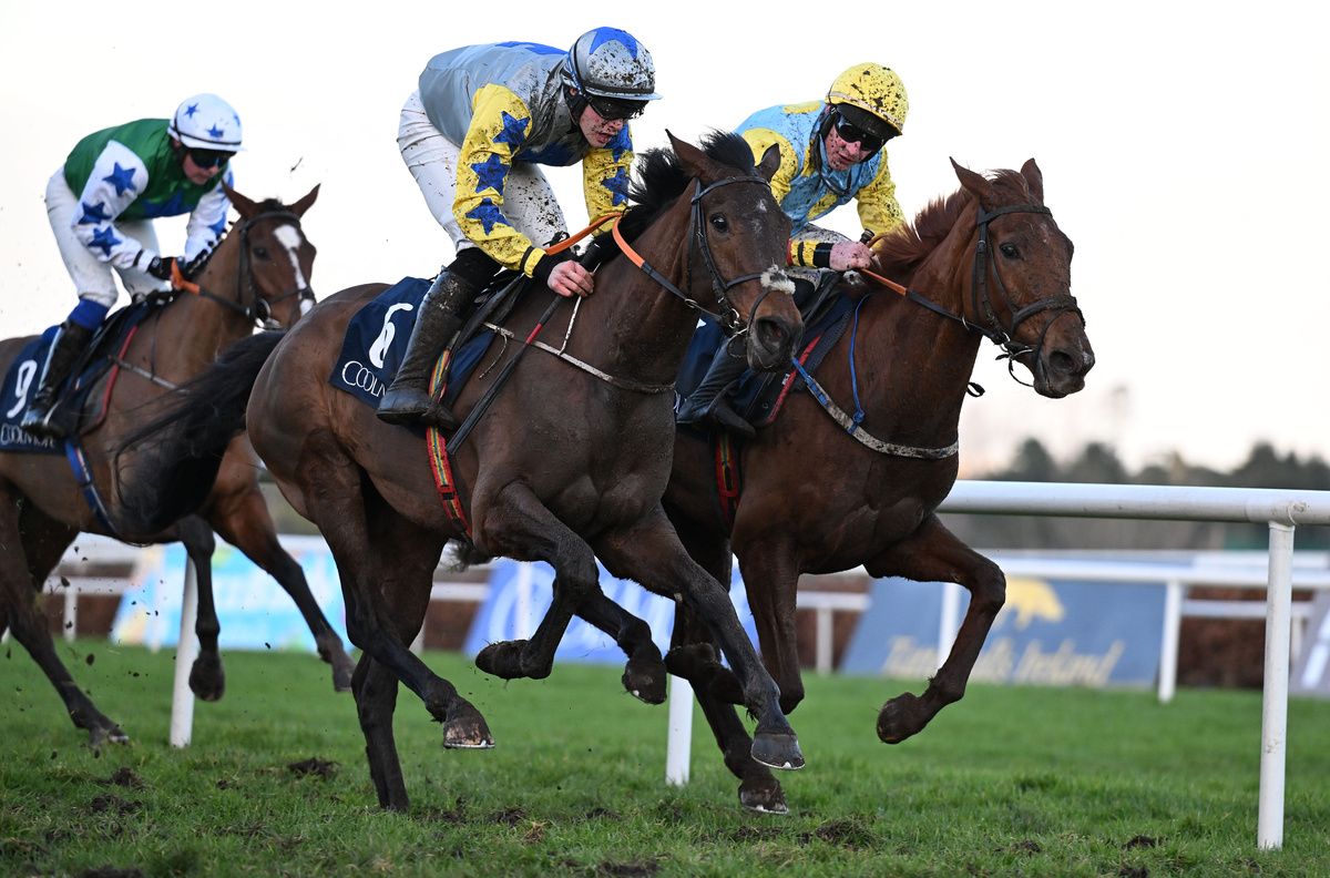 Moonverrin and Finny Maguire near win for trainer Martin Hassett from Royal Hillsborough and Stephen Connor